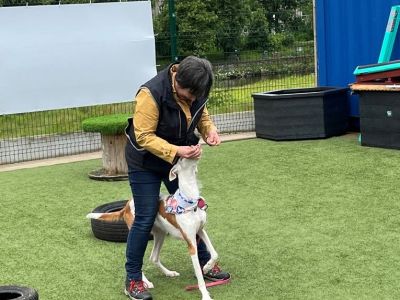 RSPCA Westmorland Branch